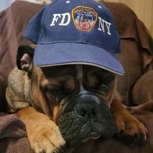 Meet your Posher, Doug